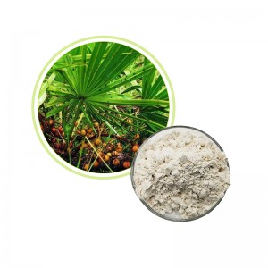 OEM/ODM Supplier Natural Health Care Saw Palmetto Extract Powder