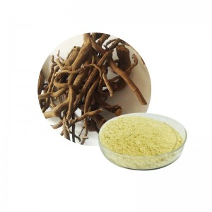 Factory for Plant Extract Natural Kava Extract Powder Purity 70%