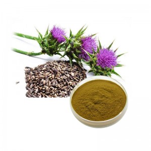 IOS Certificated Plant Extract Milk Thistle Dry Extract
