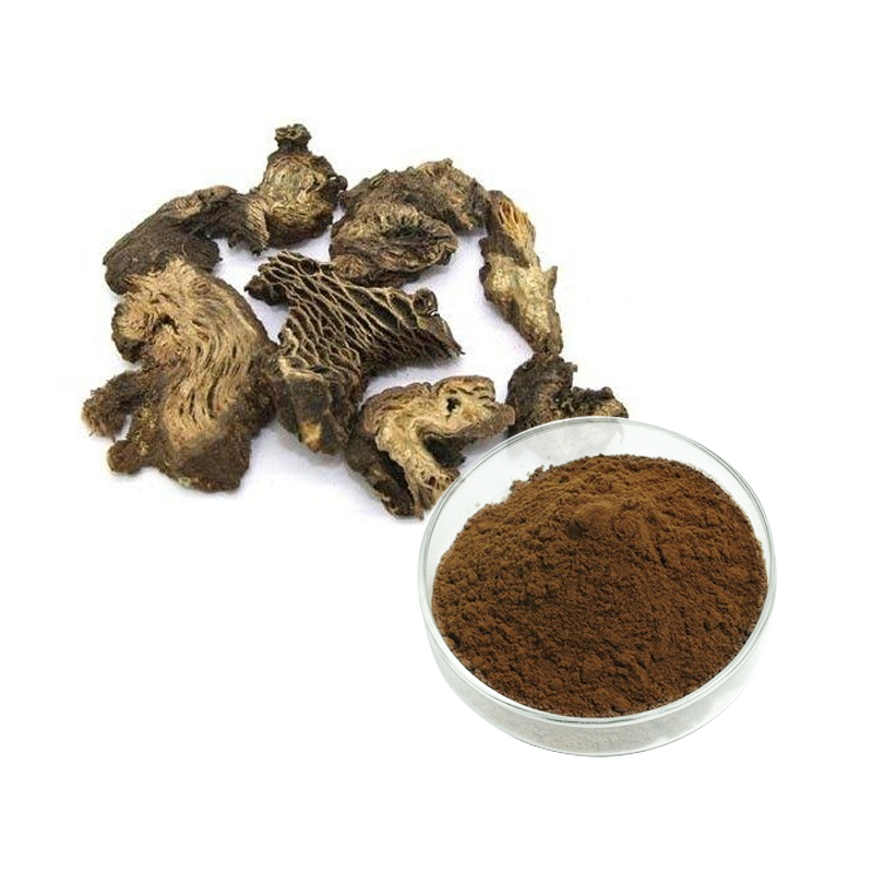 Quality Inspection for Turmeric Extract Powder - Black Cohosh Extract – Ruiwo