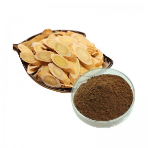 Hot-selling Factory Supply HPLC Test Astragalus Extract Powder