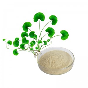 Hot sale Factory Supply Natural Gotu Kola Herbs Extract Powder