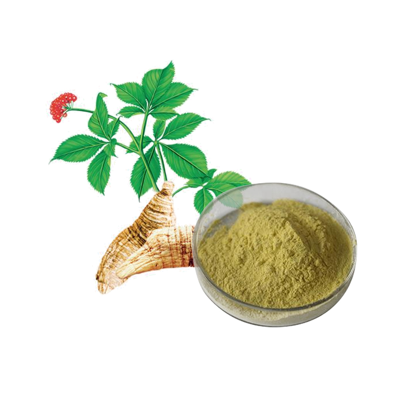 China Gold Supplier for Ginseng Root Extract Powder - American Ginseng Extract  – Ruiwo