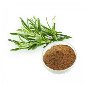 Bag-ong Pag-abot sa China Ursolic Acid 20% Carnosic Acid Rosemary Extract