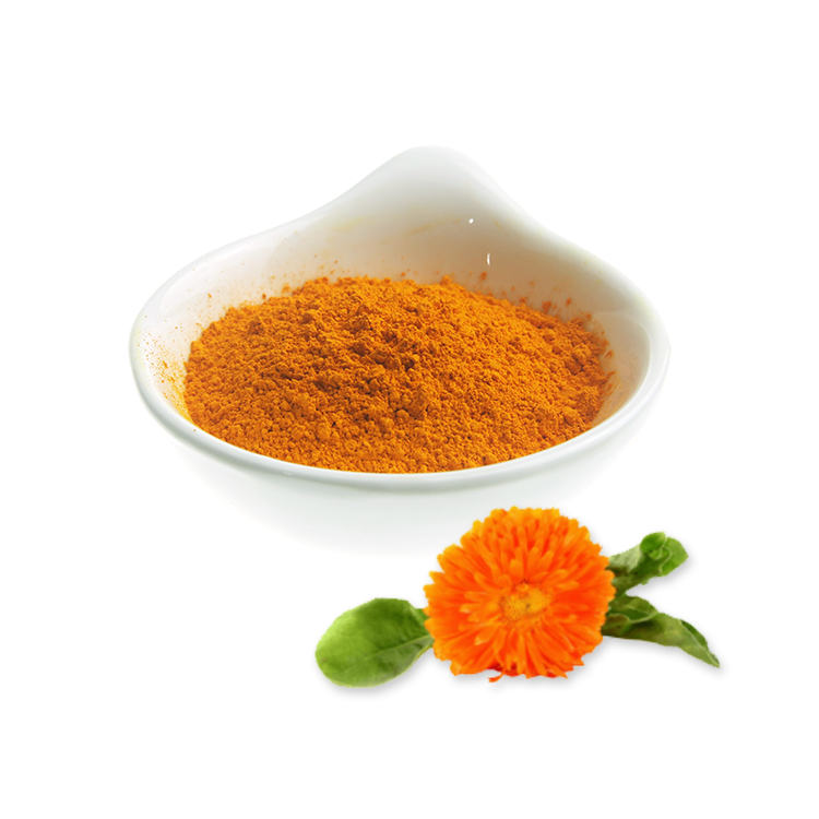 Low MOQ for Ginkgo Extract - FACTORY OFFER 100% NATURAL MARIGOLD EXTRACT/LUTEIN POWDER – Ruiwo Featured Image