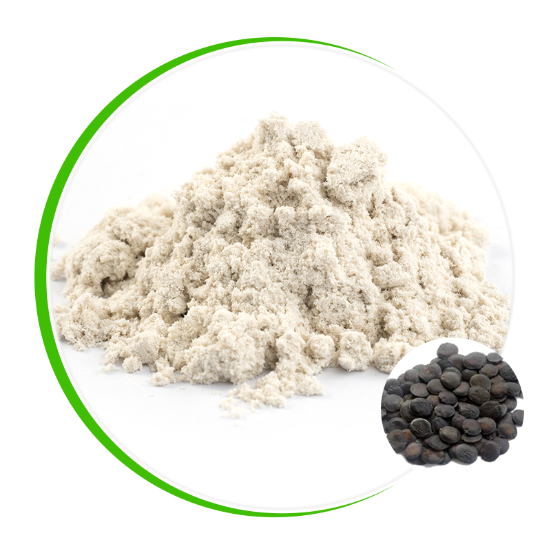 One of Hottest for Anthocyanidins - Griffonia Seed Extract  – Ruiwo