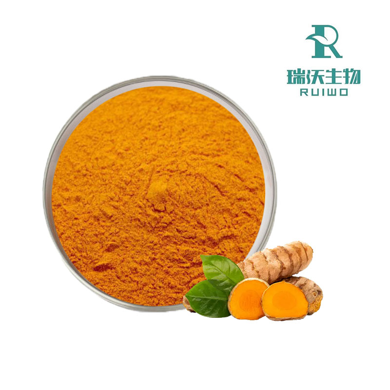 Health Benefits and Applications of Organic Turmeric Extract