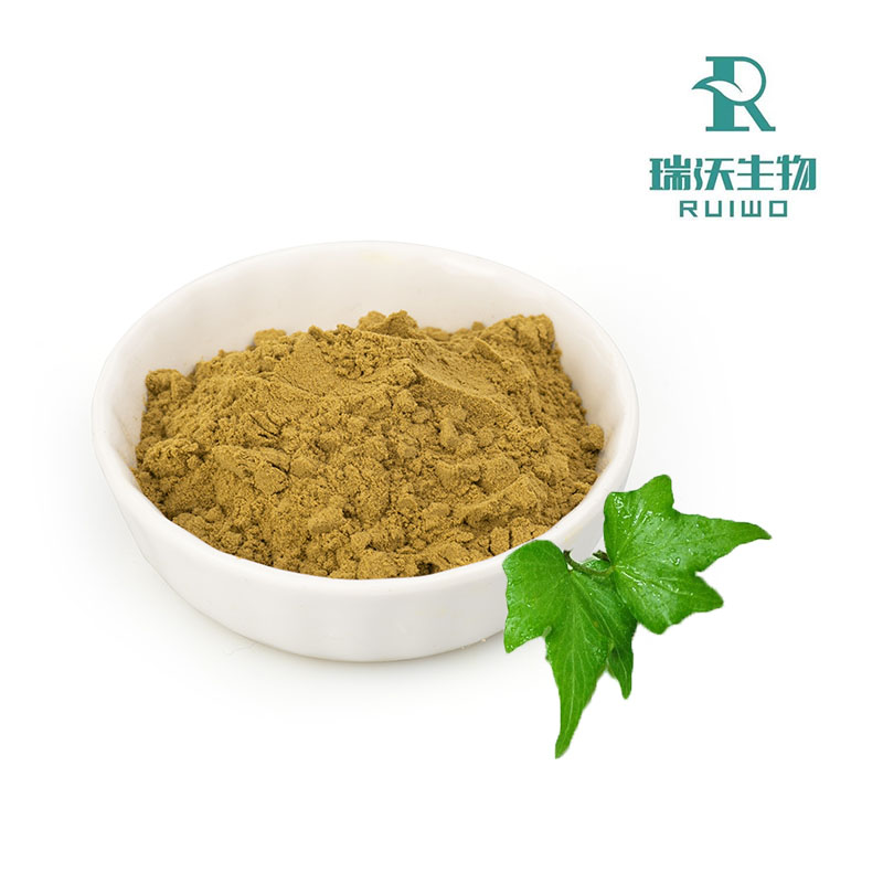 Ivy Leaf Extract: Kraftfuldt naturligt middel til åndedrætssundhed