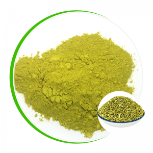 FACTORY OFFER 100% NATURAL SOPHORA JAPONICA EXTRACT, QUERCETIN POWDER 95%