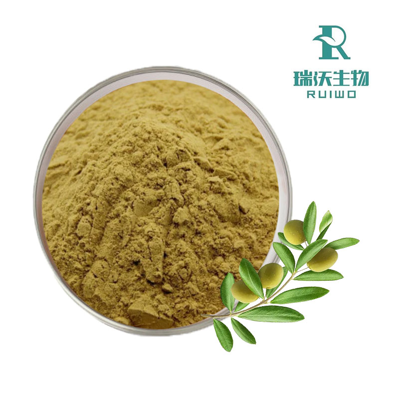 ¿Qué es el extracto puro de hoja de olivo de China y cómo puede beneficiarle?