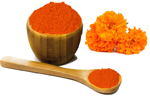 Introduces New Insights on Zeaxanthin Benefits