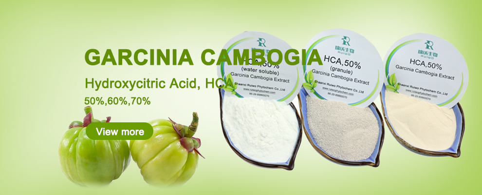 The Miraculous Garcinia Cambogia: A Natural Remedy for Modern Ailments