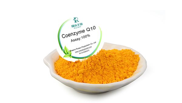 Coenzyme Q10: The Powerful Antioxidant with Multifaceted Health Benefits