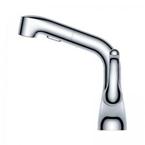 Charites Pull Out Basin Faucet