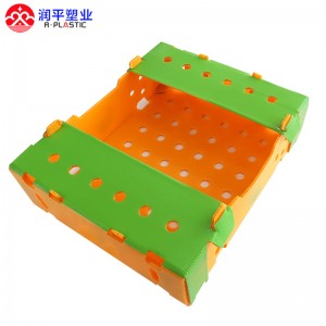 Fornecedor de caixa de quiabo vegetal personalizada embalagem caixa de plástico ondulado caixa de frutas e vegetais