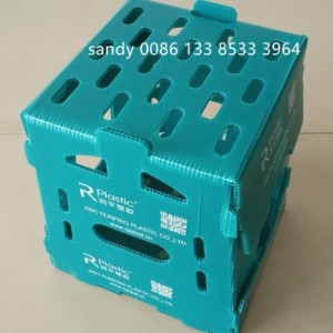 Čína Lacná cena Nový príchod skladacie plastové vlnité škatule PP dutý plech používaný na balenie plastovej škatule