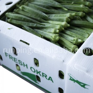 China vende al por mayor Togo Food Cardboardes para almuerzos Dispos Eco Lunch Box