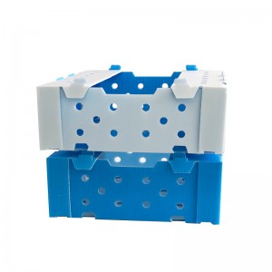 Amagambo ya Foldable Corugated Plastic Package Boxes Yongeye gukoreshwa Isanduku yohereza ibicuruzwa bya Boxe