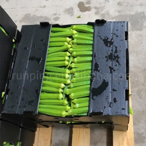 ફળ અને શાકભાજીના પેકેજિંગ બોક્સ માટે કસ્ટમ પ્રિન્ટેડ લહેરિયું પ્લાસ્ટિક પેકેજિંગ બોક્સ