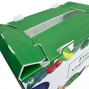 โรงงานขายส่งกล่องบรรจุผักกลวงนำมาใช้ใหม่กล่องอาหารทะเลกล่องกระเจี๊ยบสดกล่องบรรจุผลไม้