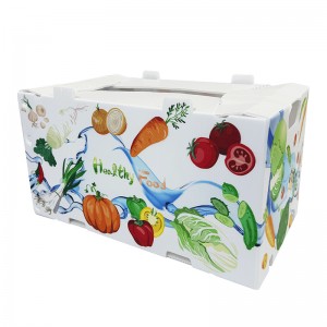 Factory custom waterproof environmental protection hollow vegetable packing box Seafood box Fresh okra box fruit packing box
