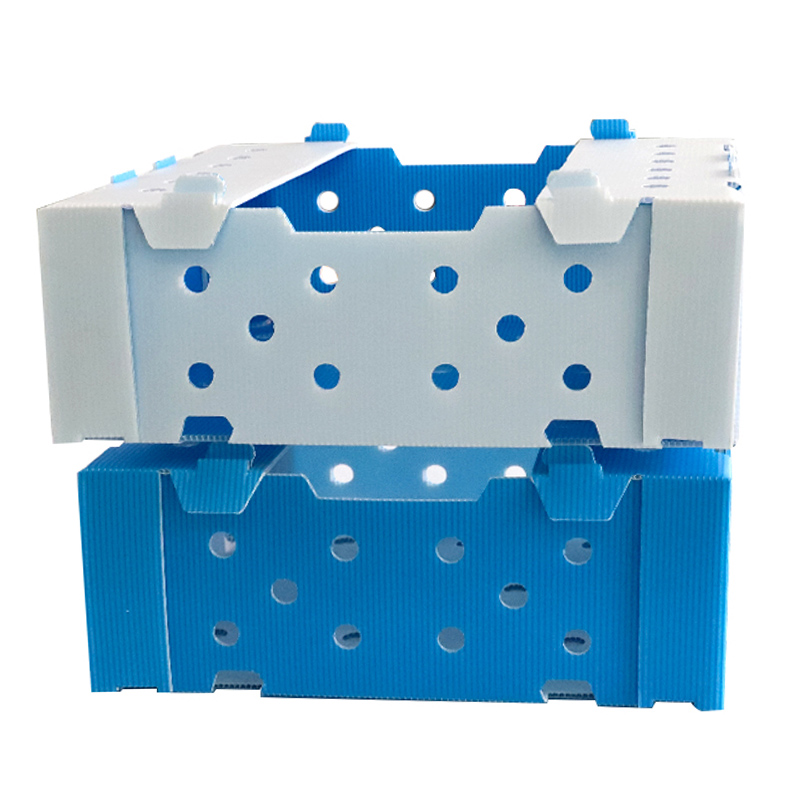 Kolay işleme dayanıklı pp plastik oluklu kutu bamya ambalaj kutusu soğutmalı taşıma taze tutma kutusu