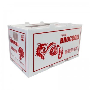 Caja de embalaje vegetal resistente al desgaste de alta calidad, caja de embalaje de Okra, caja corrugada de plástico