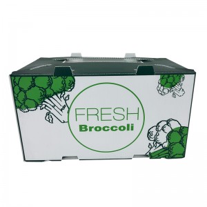Novo método de embalagem Caixa de papelão ondulado de plástico para embalagem de legumes frescos e frutas, caixas de brócolis