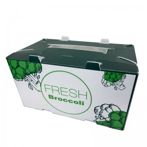 Ny förpackningsmetod Korrugerad plastlåda för förpackning av färska grönsaker och frukter broccollådor