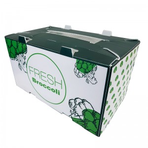 Kaedah pembungkusan baharu Kotak beralun plastik untuk membungkus kotak brokol sayur-sayuran dan buah-buahan segar