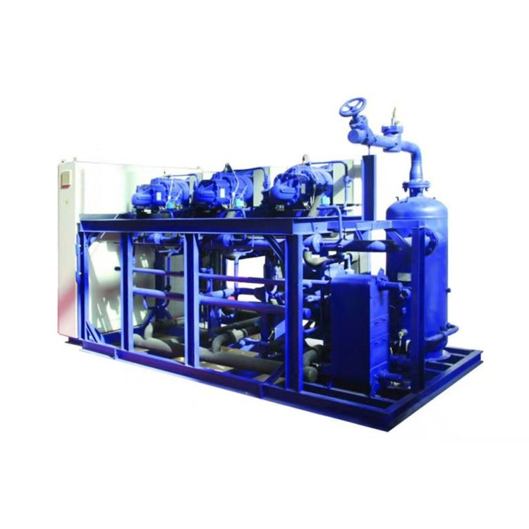 Manufacturing Companies for Wall Mounted Condensing Unit - brand compressor big screw condensing units – Runte