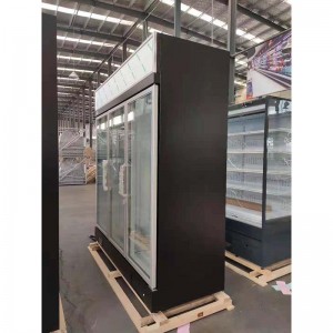 Renewable Design for China Commercial Upright Glass Door Chiller with 2 Doors