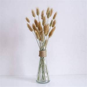 Dried Bunny Tails Plant Manufacturers for Party Office Home Decor