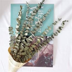 Eucalyptus Bunch Plant Manufacturers for Party Office Home Decor