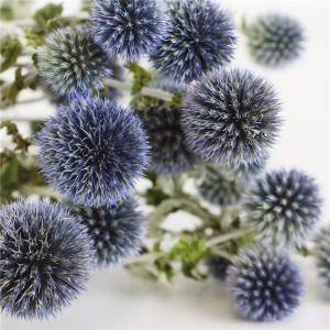 Dried Echiops Globe Thistle Plant Manufacturers for Party Office Home Decor