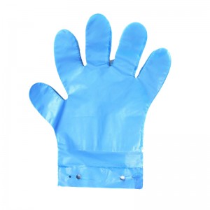 Factory Supplied Aprons Disposable Plastic - Food Prep Cardboard Header Gloves – Ruixiang