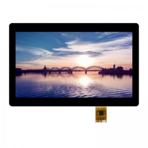ម៉ូឌុលអេក្រង់ IPS LCD RGB Industrial HD 11.6” ជាមួយនឹងការប៉ះ capacitive