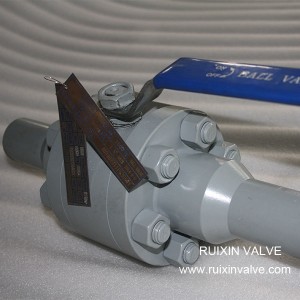 Forged Steel Ball Valve with Extended Nipple