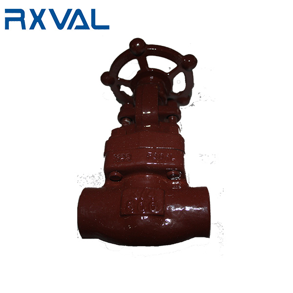 China wholesale Angle Globe Valve Manufacturers Suppliers –  Threaded NPT Forged Steel Gate Valve – Ruixin Valve