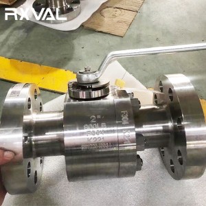 China wholesale 3 Way Actuated Ball Valve Factory –  Metal Seat Forged Trunnion Mounted Ball Valve – Ruixin Valve