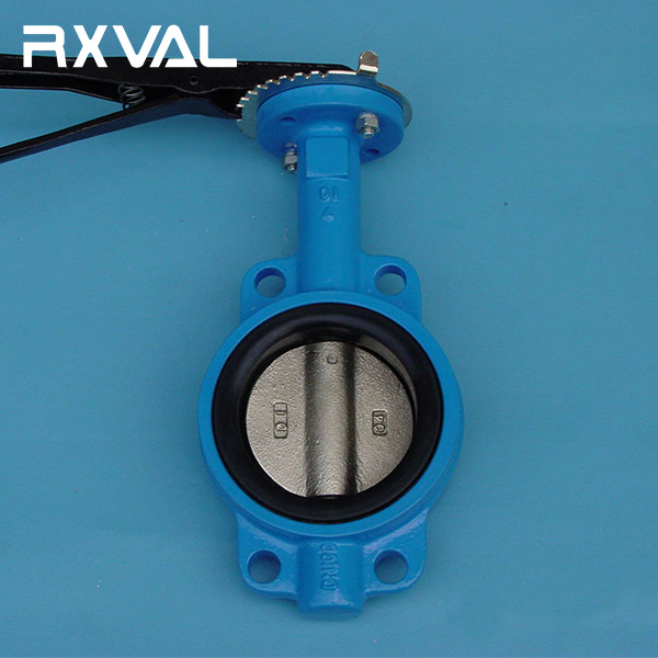 Wafer Concentric Butterfly Valve (2)
