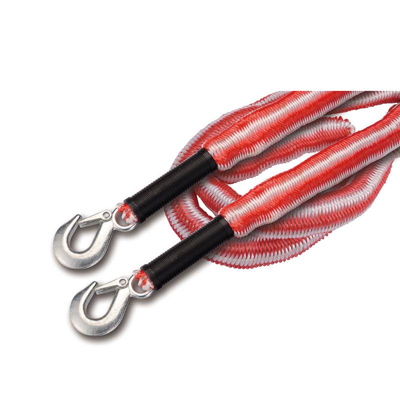 China New Fashion Design for Nylon Tow Rope With Hooks - D03 GS – Safemate  factory and suppliers