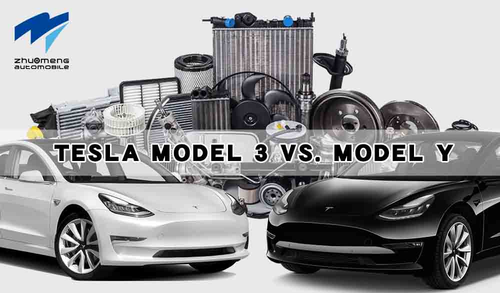Tesla Model 3 lwn. Model Y: Memecahkan perbezaan dan peranan Zhuomeng Shanghai Automotive Co., Ltd.