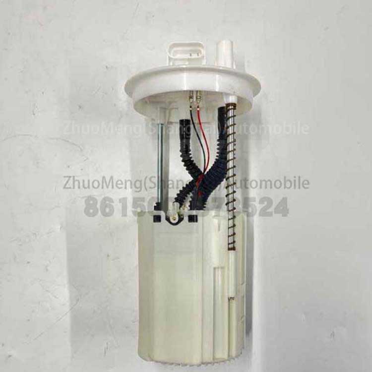Good User Reputation for Mgzs Ev Spare Parts Manufacture - SAIC brand original fuel Pump for MAXUS V80 C0002472 – Zhuomeng