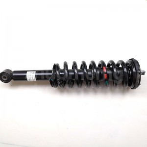 MAXUS T60 Original Front Shock Absorber Assembly C00061452