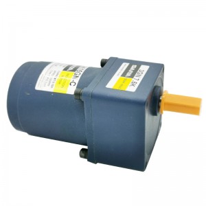 15w 70mm INDUCTION MOTOR ratio from 3~750