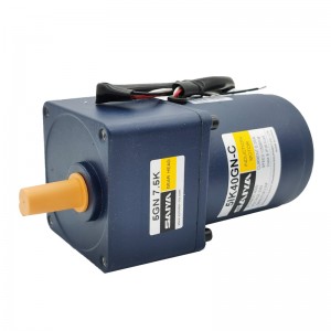 40w 90mm INDUCTION MOTOR ratio from 3~750