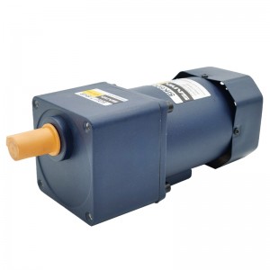 60w 90mm INDUCTION MOTOR ratio from 3~750