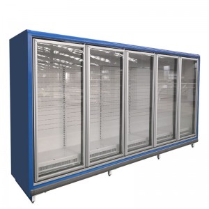 Well-designed China Manufacturer Wholesale Dusung Freezer Glass Door Chiller-Remote.