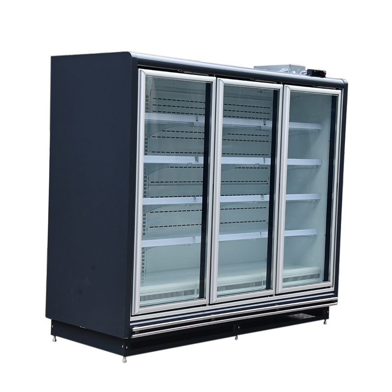 Ordinary Discount Commercial Ice Chest Freezer - Remote Type Glass Door Display Freezer – Sanao detail pictures